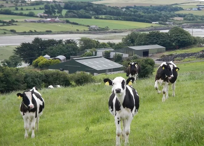 Bridgeview Kilbrittain